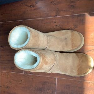 Classic Chestnut Colored Uggs